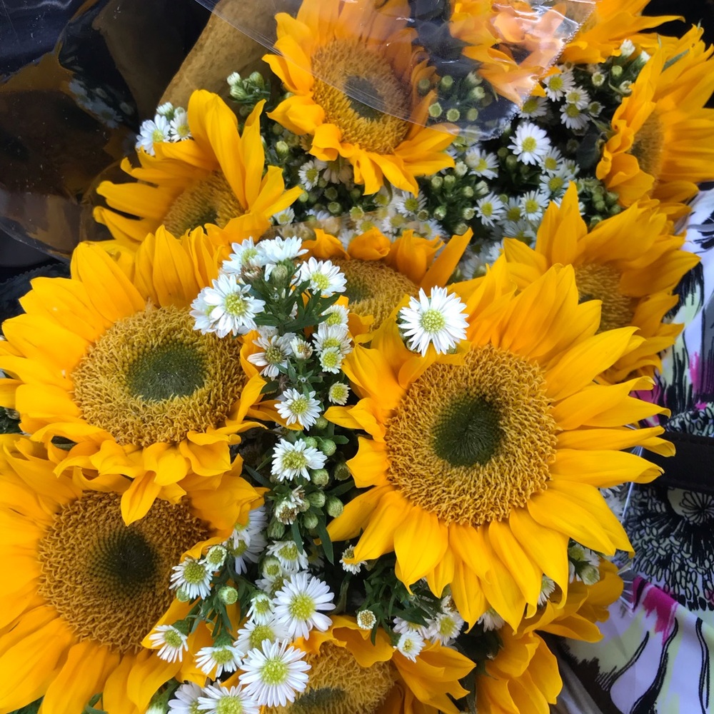 Meet your Posher, Virginia